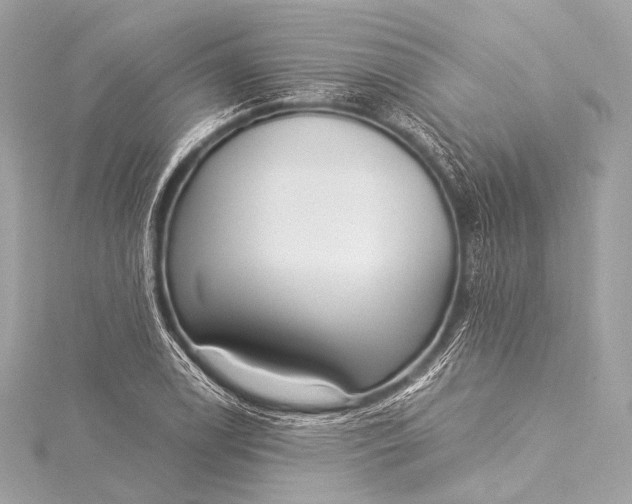 X0000116021122200912041744