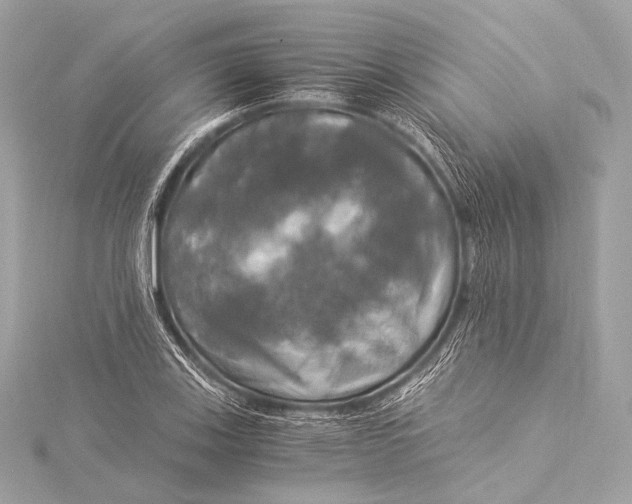 X0000116021123200912041744