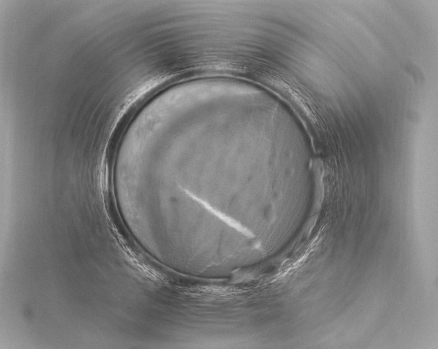 X0000116021125200912041744