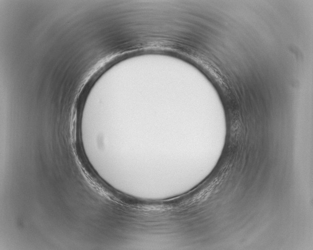 X0000116021126200912041744