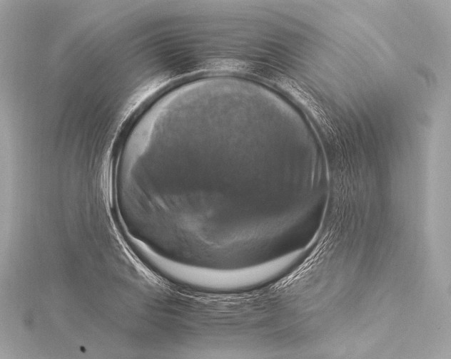 X0000116021127200912041744