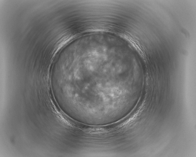 X0000116021129200912041744