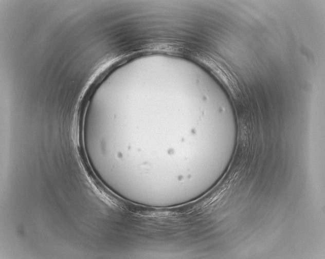 X0000116021131200912041745