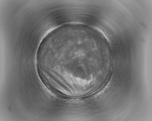 X0000116021133200912041745