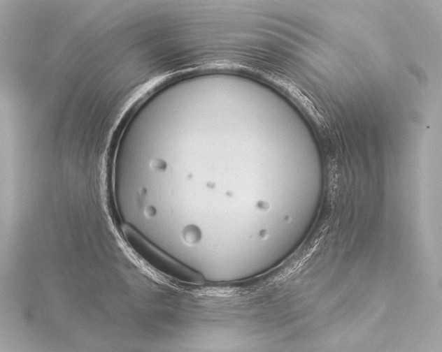 X0000116021134200912041745