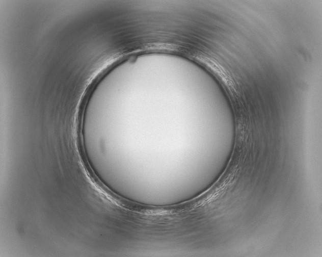 X0000116021135200912041745