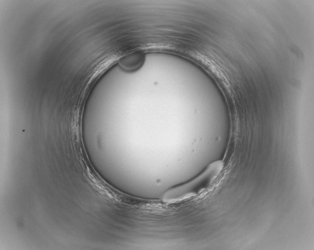 X0000116021137200912041745