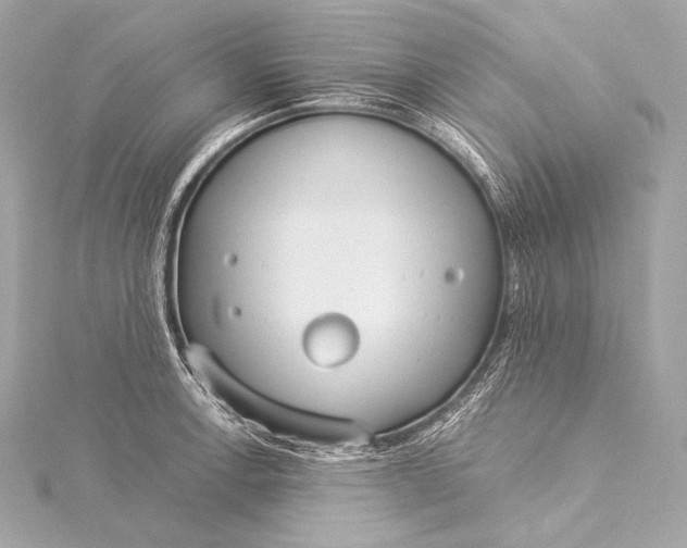 X0000116021138200912041745