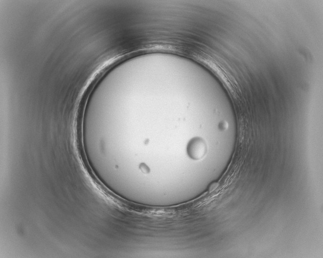 X0000116021139200912041745