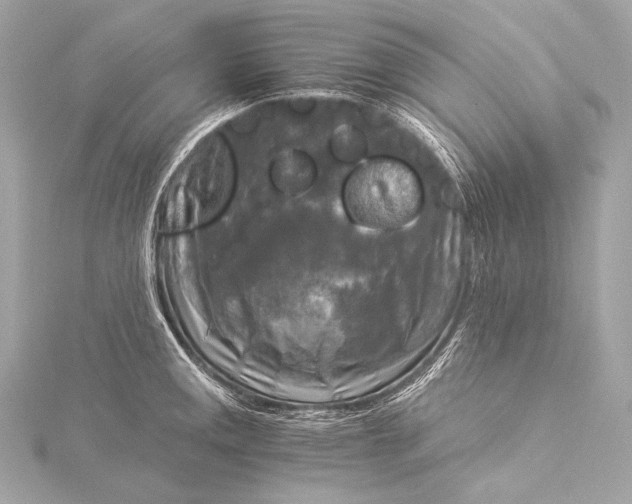 X0000116021141200912041745