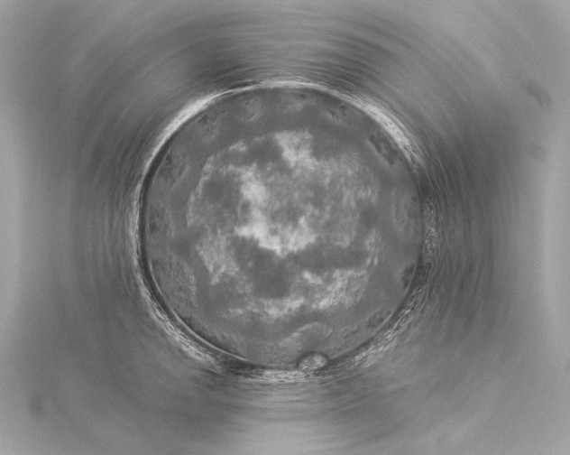 X0000116021142200912041745