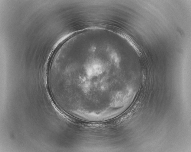 X0000116021143200912041745