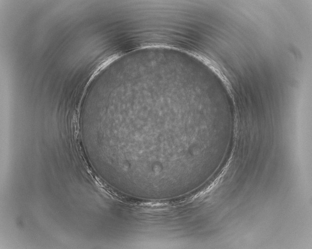 X0000116021145200912041745