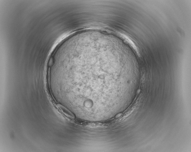 X0000116021146200912041745