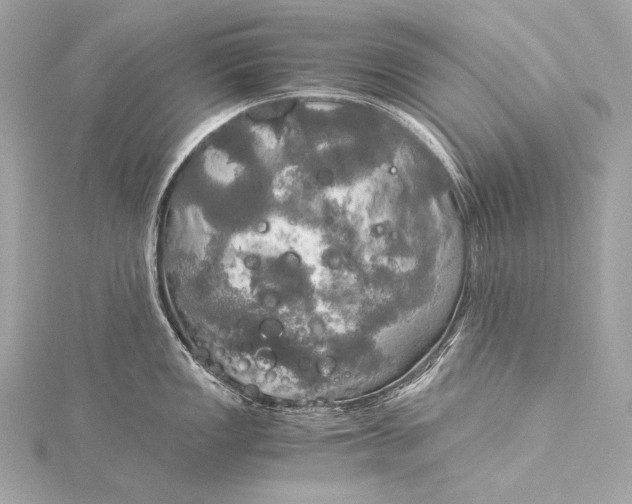 X0000116021149200912041745