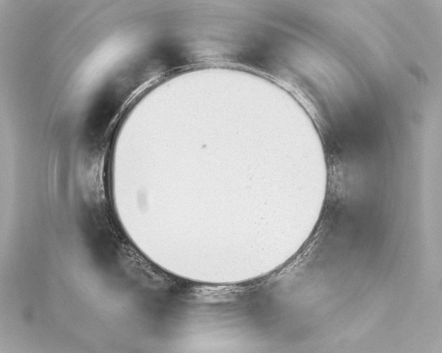 X0000116021150200912041745