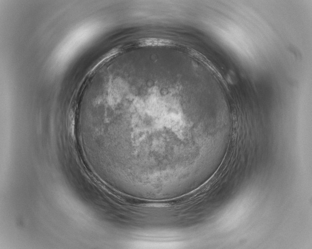 X0000116021151200912041745