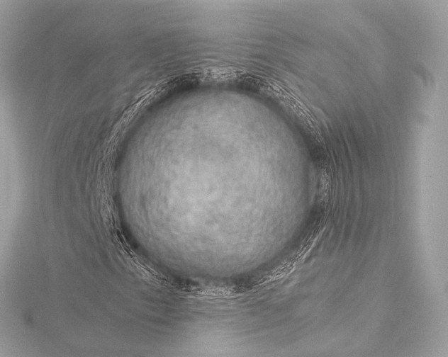 X0000116021153200912041744