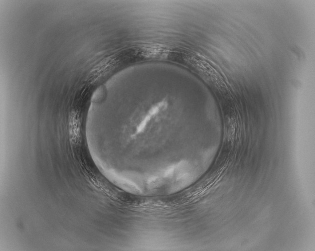 X0000116021154200912041744