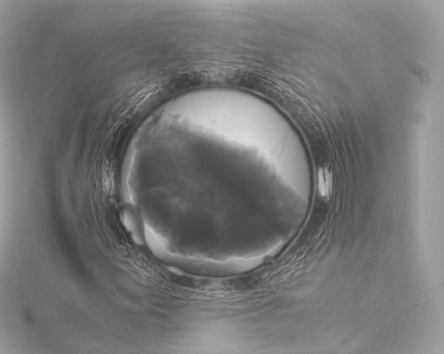 X0000116021155200912041744