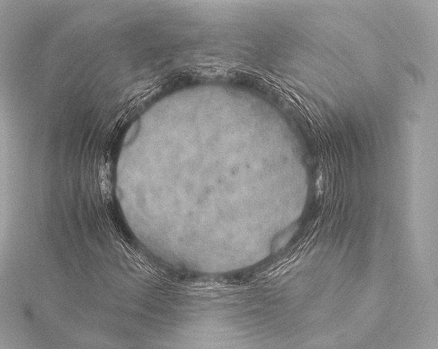 X0000116021156200912041744