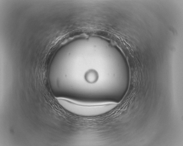 X0000116021157200912041744