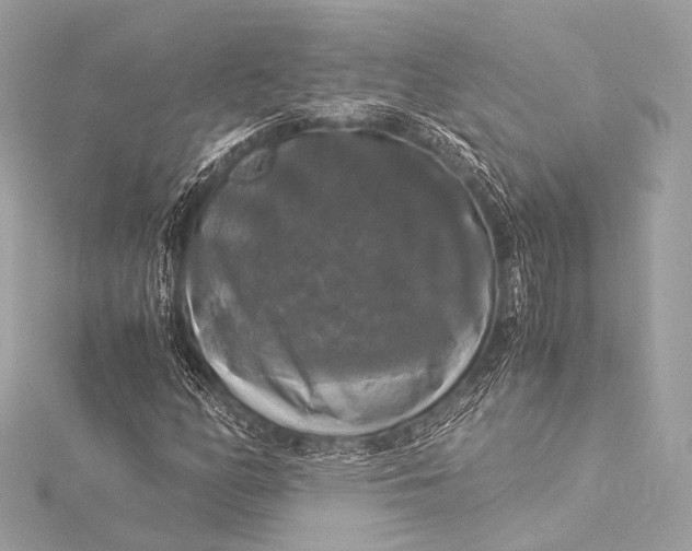 X0000116021158200912041744