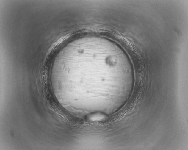 X0000116021159200912041744