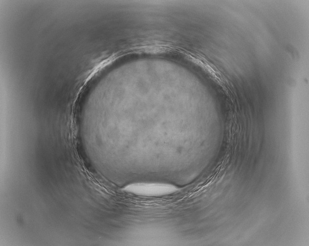 X0000116021160200912041744