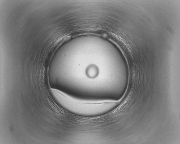 X0000116021161200912041744