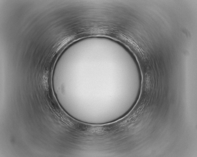 X0000116021162200912041744