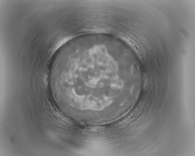 X0000116021163200912041744