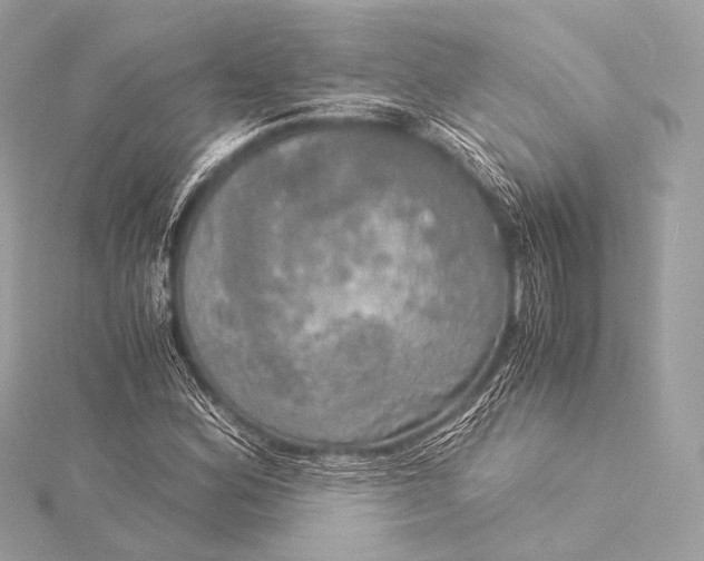 X0000116021164200912041744