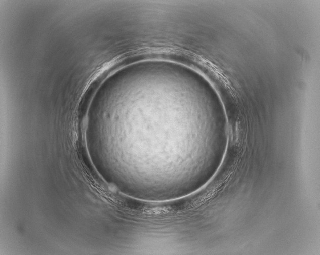 X0000116021165200912041744