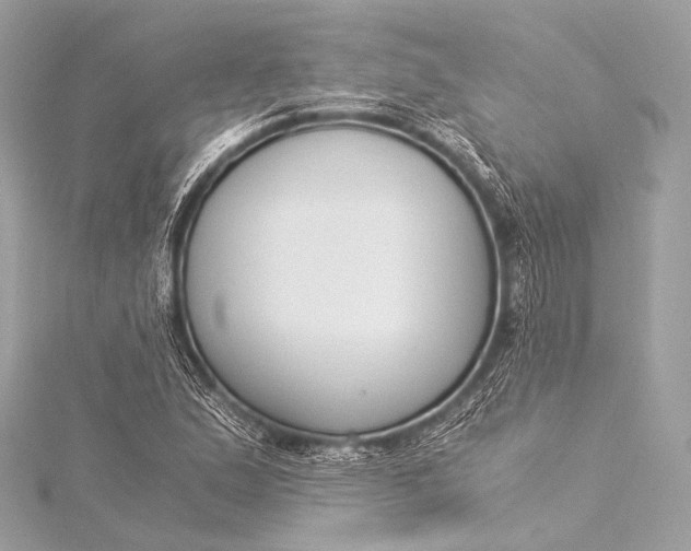 X0000116021167200912041744