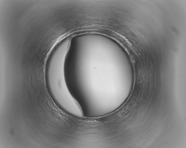 X0000116021168200912041744