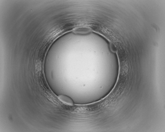 X0000116021169200912041744