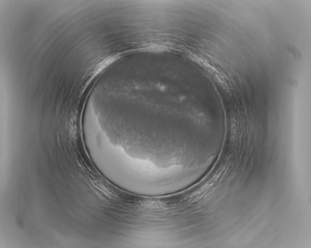 X0000116021170200912041744