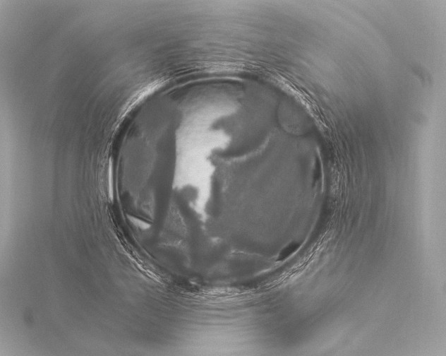 X0000116021171200912041744