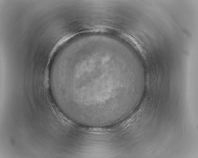 X0000116021172200912041744