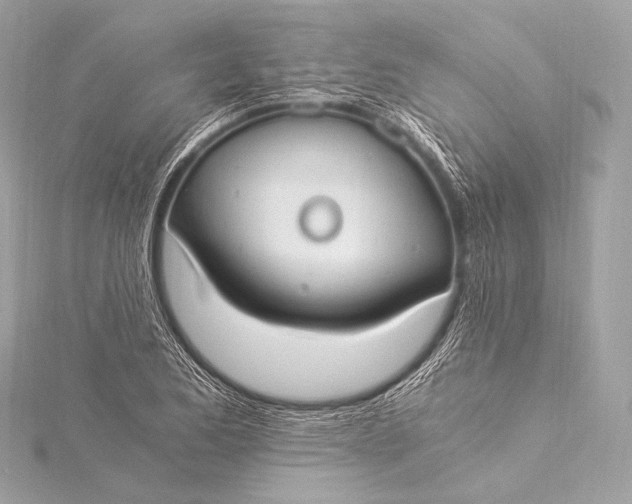 X0000116021173200912041744