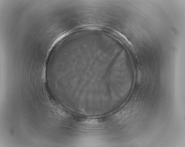 X0000116021174200912041744