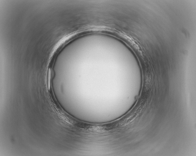 X0000116021175200912041744