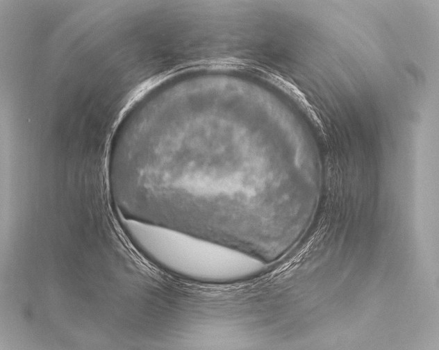 X0000116021176200912041744