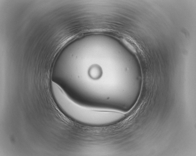 X0000116021177200912041744