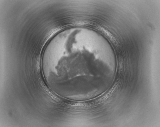 X0000116021178200912041744