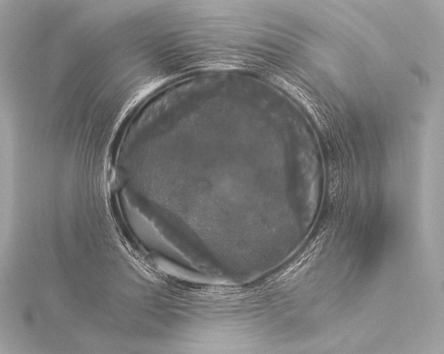 X0000116021179200912041744