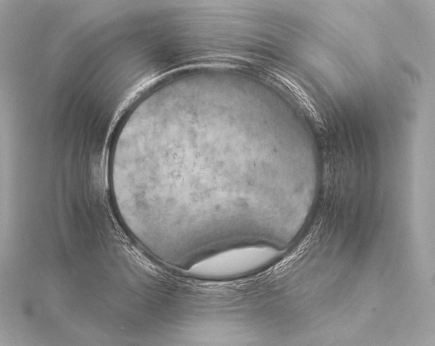 X0000116021180200912041744