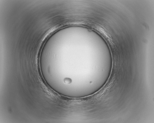 X0000116021181200912041744