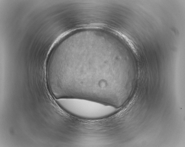 X0000116021184200912041744